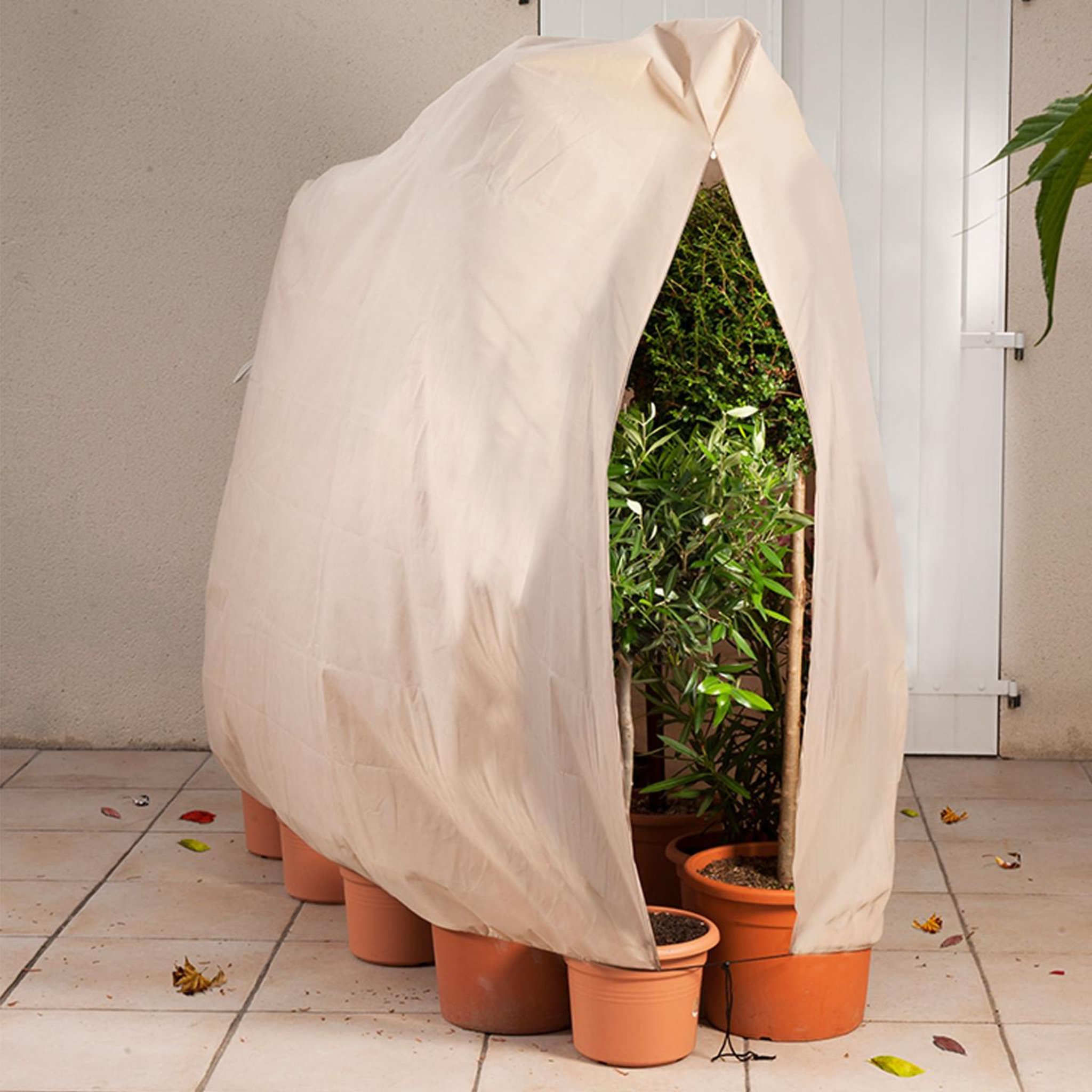 Voir la diapositive 2 : ID MARKET Housse d'hivernage pour plante et arbuste 200 x 240 cm