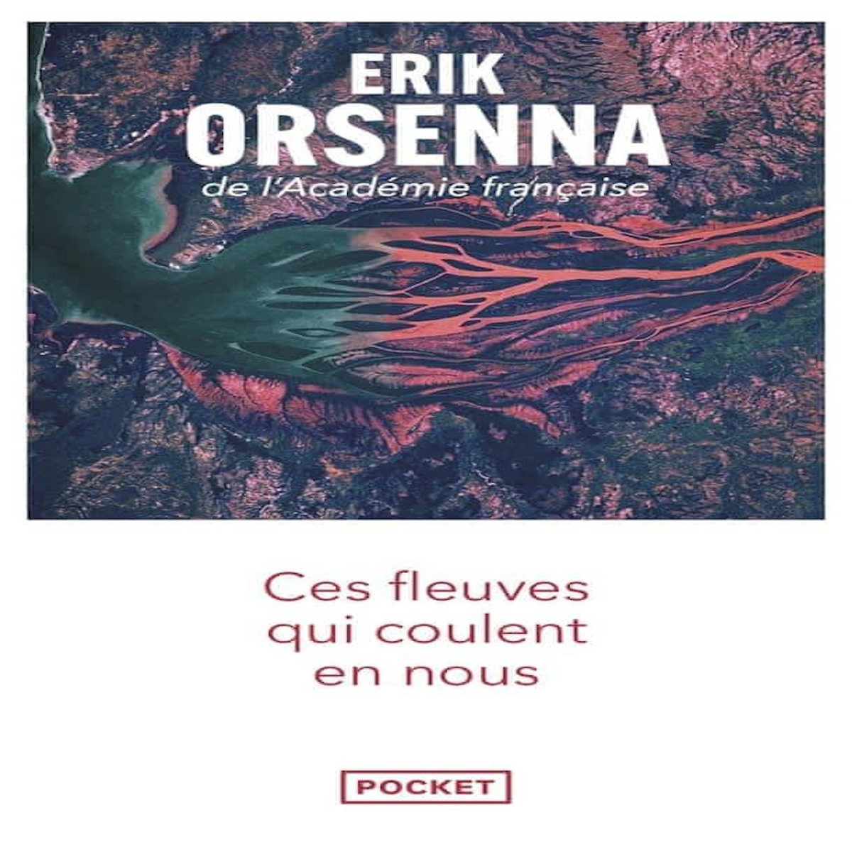 CES FLEUVES QUI COULENT EN NOUS, Orsenna Erik