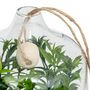 Voir la diapositive 2 : ATMOSPHERA Terrarium à Suspendre  Naly  15cm Vert
