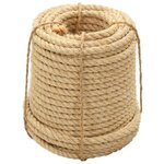 VIDAXL Corde 100 % en sisal 20 mm 100 m