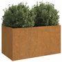Voir la diapositive 3 : VIDAXL Jardiniere 62x40x39 cm acier corten