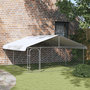 Voir la diapositive 1 : VIDAXL Chenil exterieur avec toit 300x300x150 cm