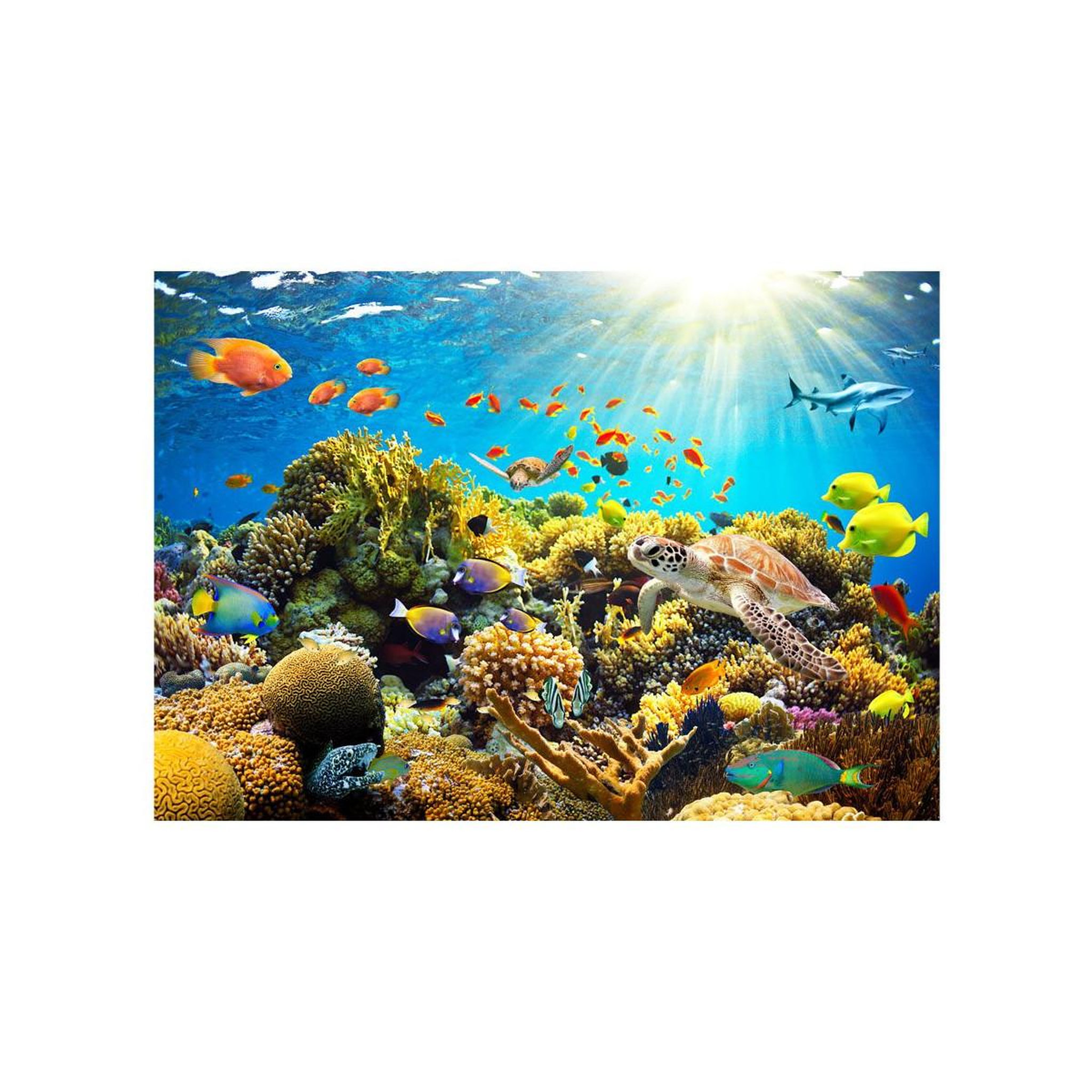 Voir la diapositive 2 : Paris Prix Papier peint  underwater land