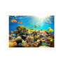 Voir la diapositive 2 : Paris Prix Papier Peint  Underwater Land