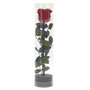 Voir la diapositive 2 : Paris Prix Fleur Artificielle  Rose sur Tige  30cm Vert & Rouge