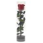 Voir la diapositive 2 : Paris Prix Fleur Artificielle  Rose sur Tige  30cm Vert & Rouge