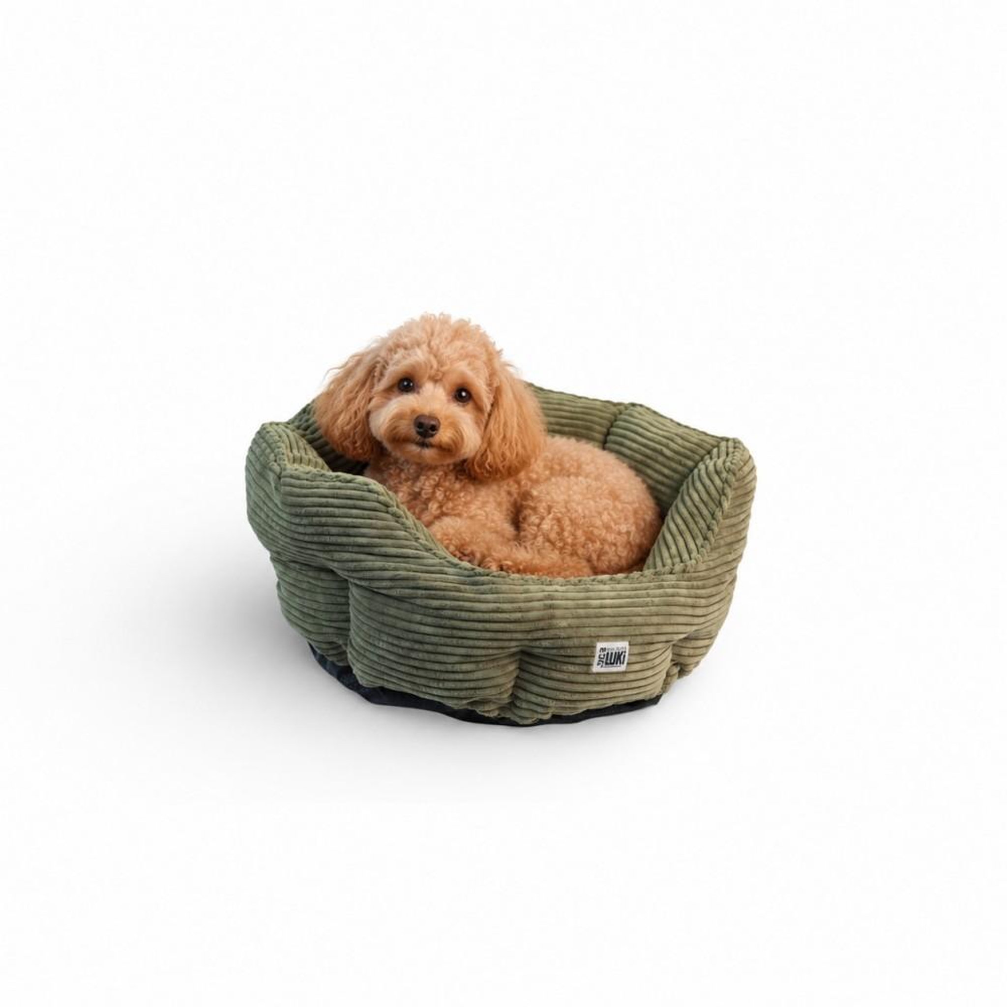 Voir la diapositive 2 : MON AMI LUKI MON AMI LUKI - Panier rond antidérapant velours côtelé pour chien