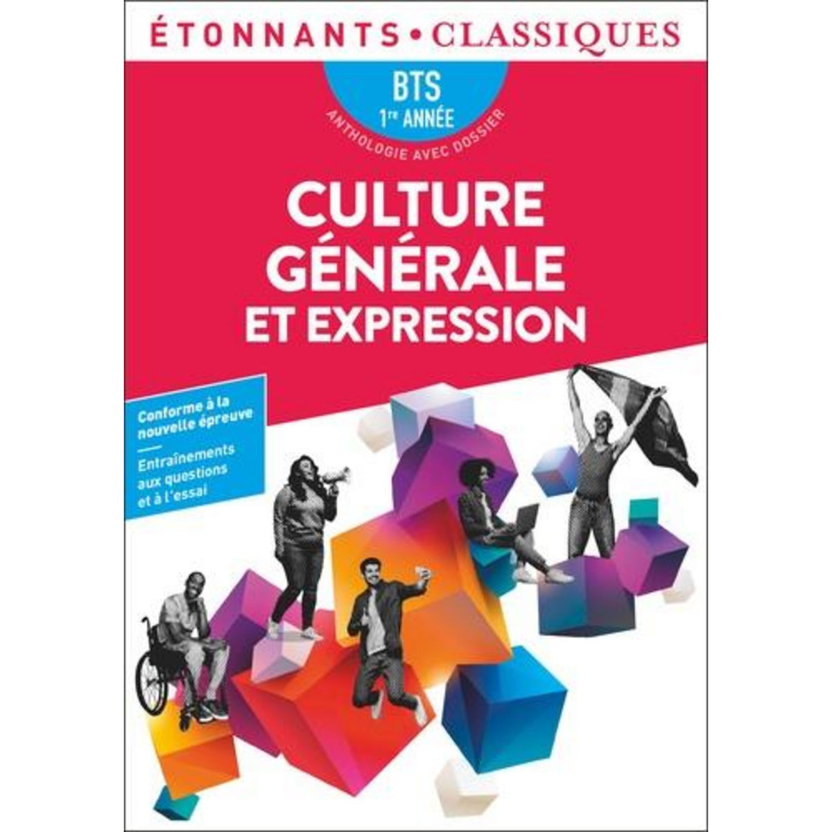 CULTURE GENERALE ET EXPRESSION BTS 1RE ANNEE, Chedeville Elise