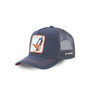 Voir la diapositive 1 : CAPSLAB Casquette adulte Looney Tunes Daffy