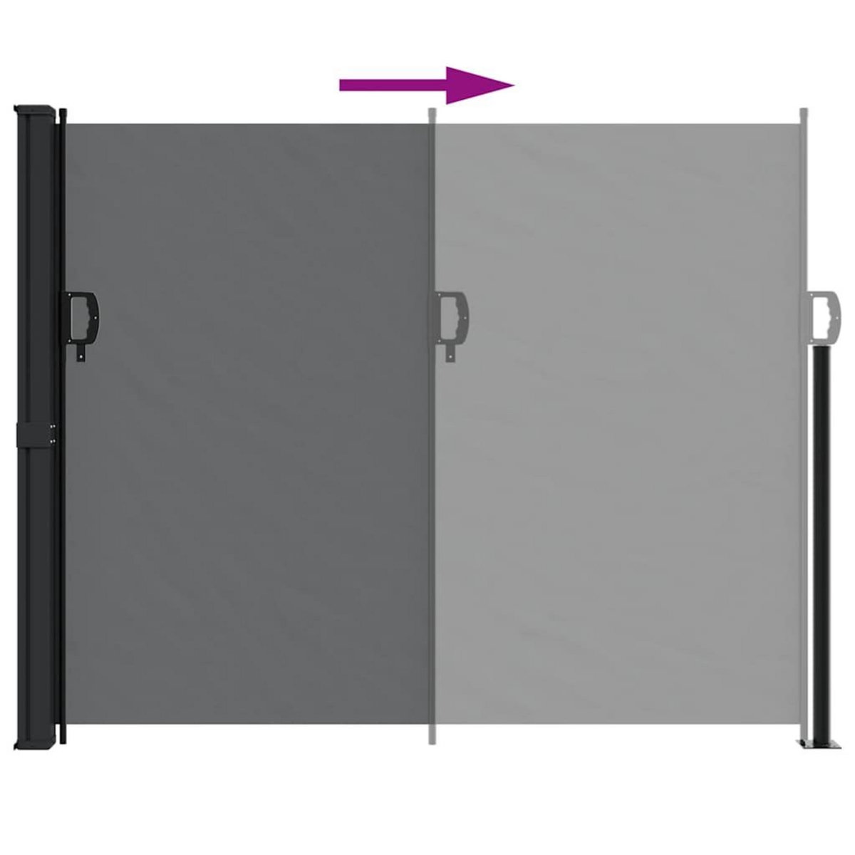 VIDAXL Auvent lateral retractable noir 160x500 cm