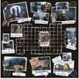 Voir la diapositive 6 : Winning Moves Jeu d'ambiance Winning Moves Cluedo Wednesday
