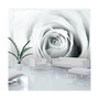 Voir la diapositive 1 : Paris Prix Papier Peint  Rose Charade