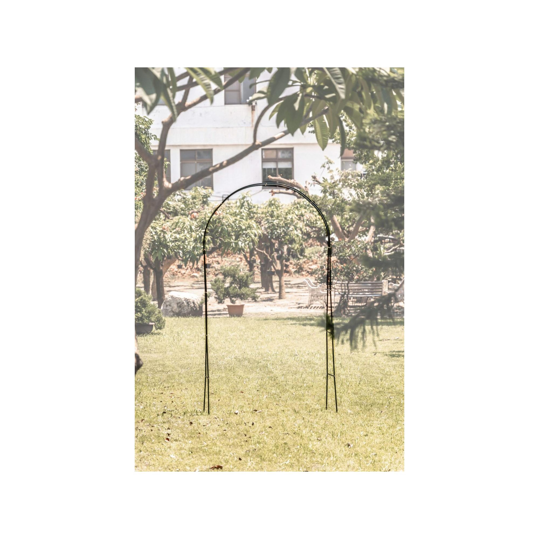 Voir la diapositive 2 : SUAN Support arceau pour plante - Suan - Accompagnement à la pousse - Dimensions : 137 x 38 x 243 cm