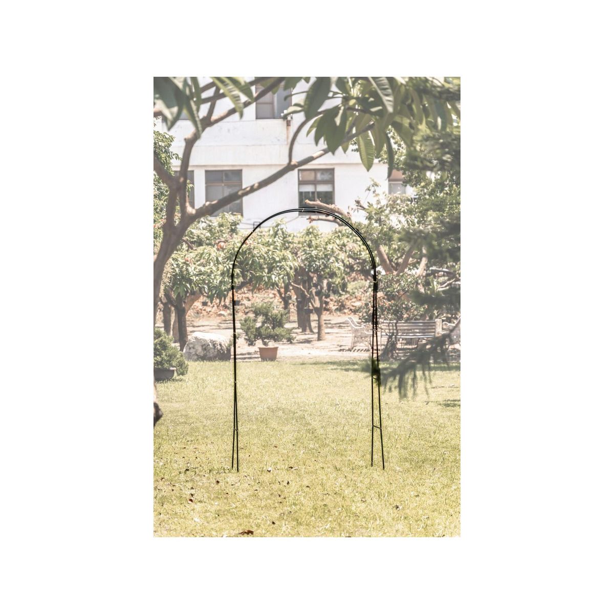 SUAN Support arceau pour plante - Suan - Accompagnement à la pousse - Dimensions : 137 x 243 x 38 cm