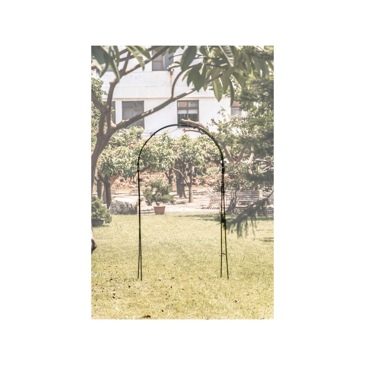 SUAN Support arceau pour plante - Suan - Accompagnement à la pousse - Dimensions : 137 x 38 x 243 cm