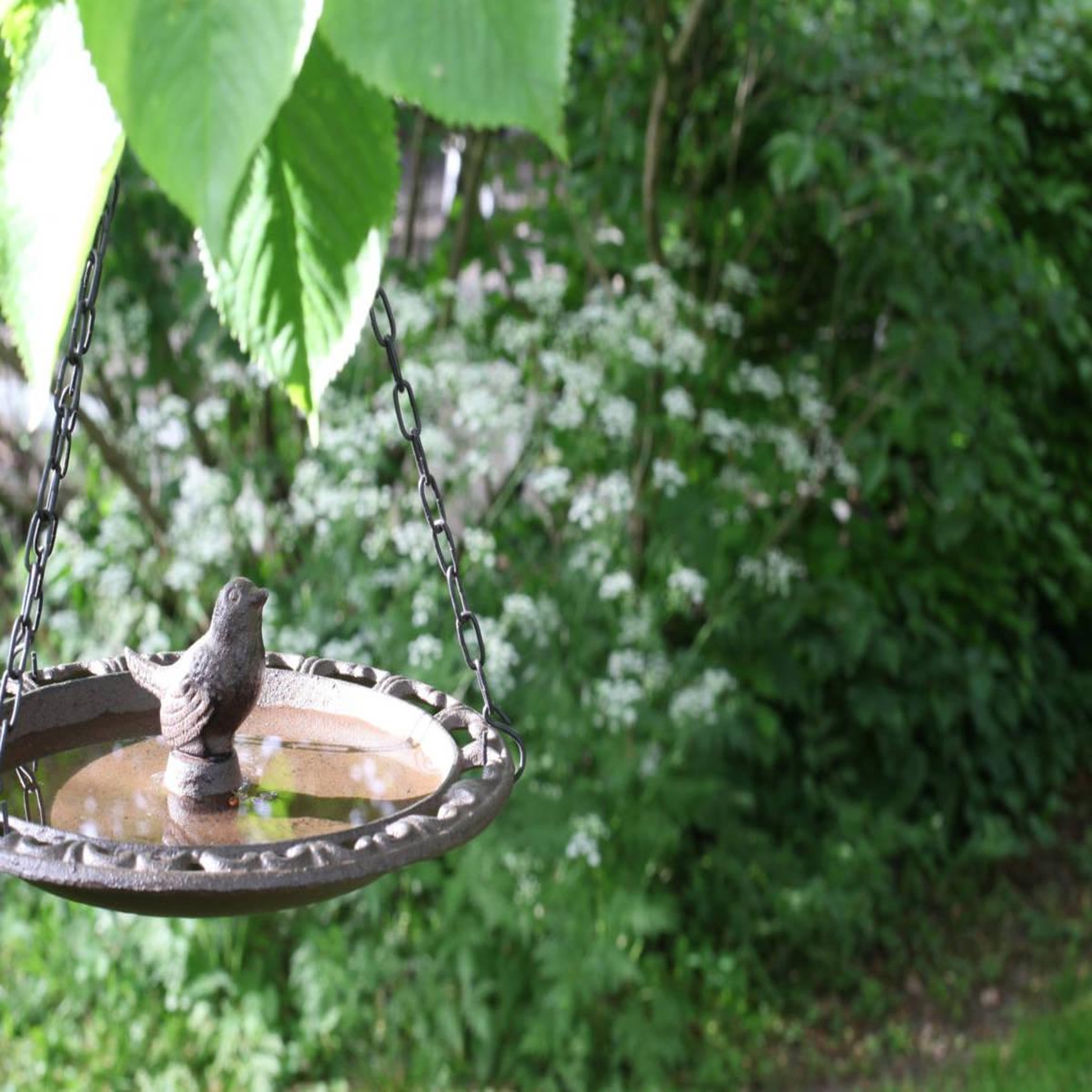 Voir la diapositive 5 : ESSCHERT DESIGN Bain d'oiseau en fonte à suspendre - Esschert Design