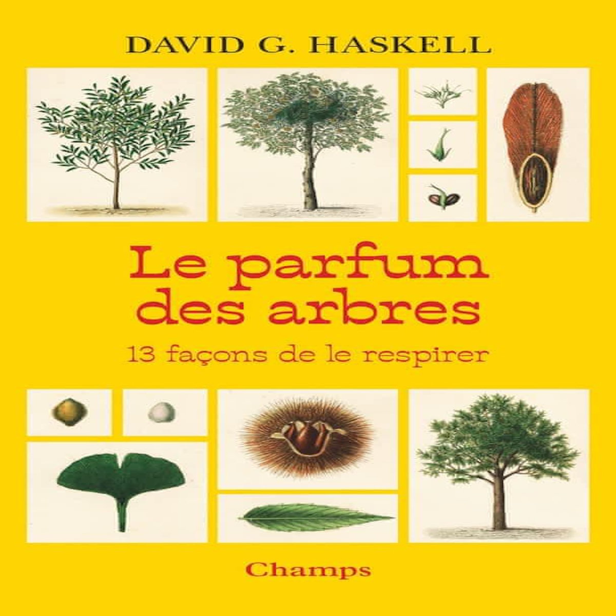 LE PARFUM DES ARBRES. 13 FACONS DE LE RESPIRER, Haskell David g.