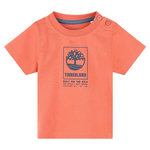 TIMBERLAND T shirt   Bébé Timberland T60100. Coloris disponibles : Orange