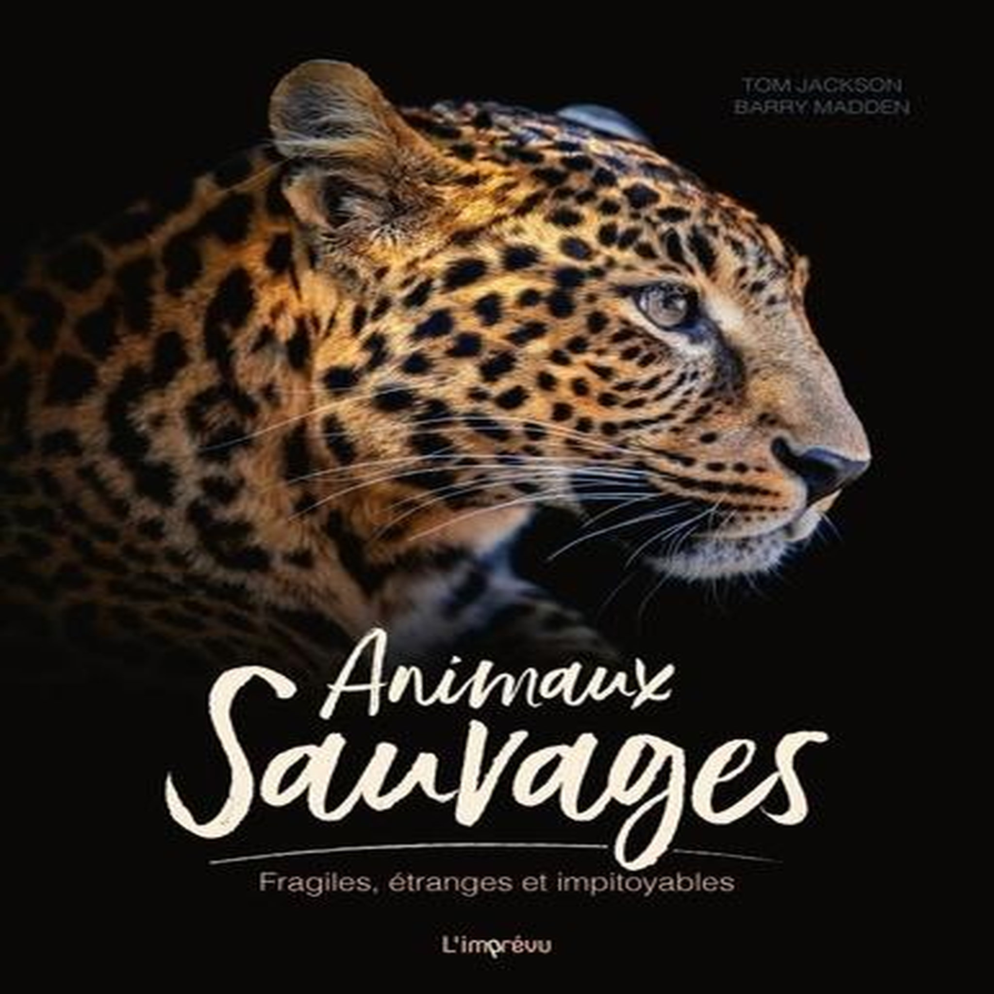 ANIMAUX SAUVAGES. FRAGILES, ETRANGES ET IMPITOYABLES, Jackson Tom