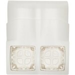 Legrand DLP cadre ASL 2 postes pour plinthe