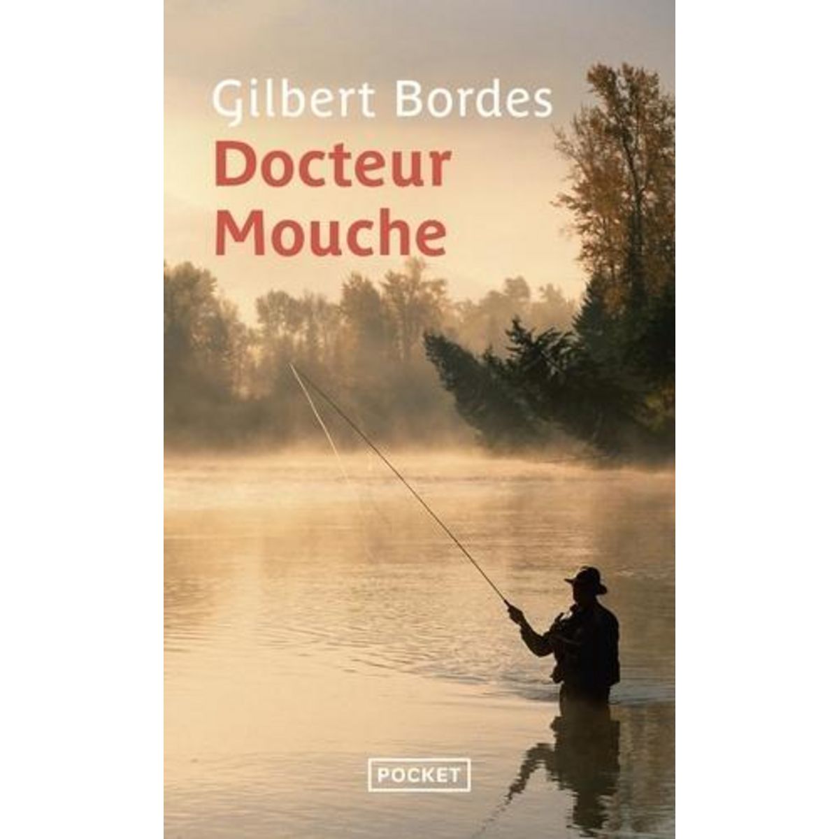 DOCTEUR MOUCHE, Bordes Gilbert