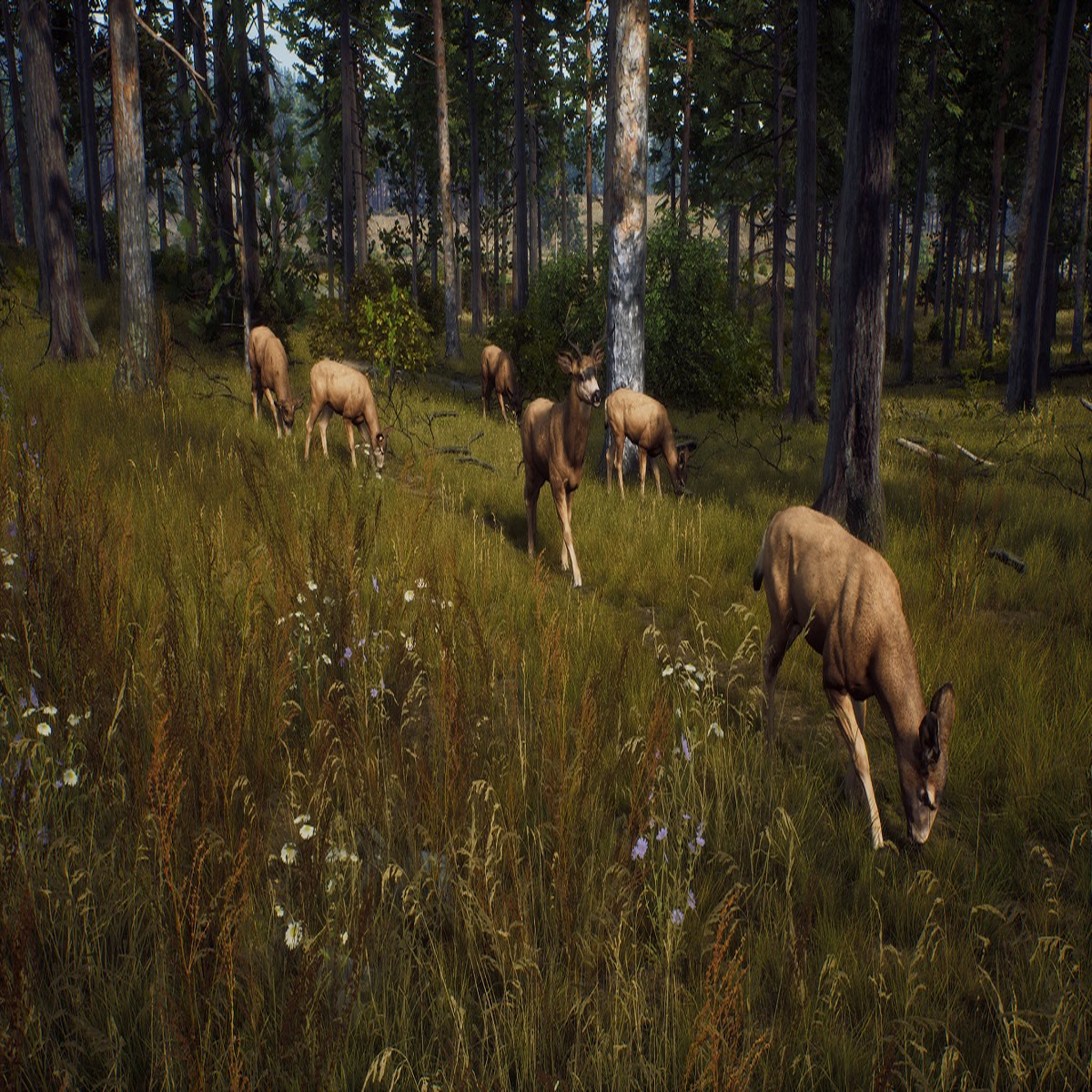 Voir la diapositive 6 : Way Of The Hunter PS5