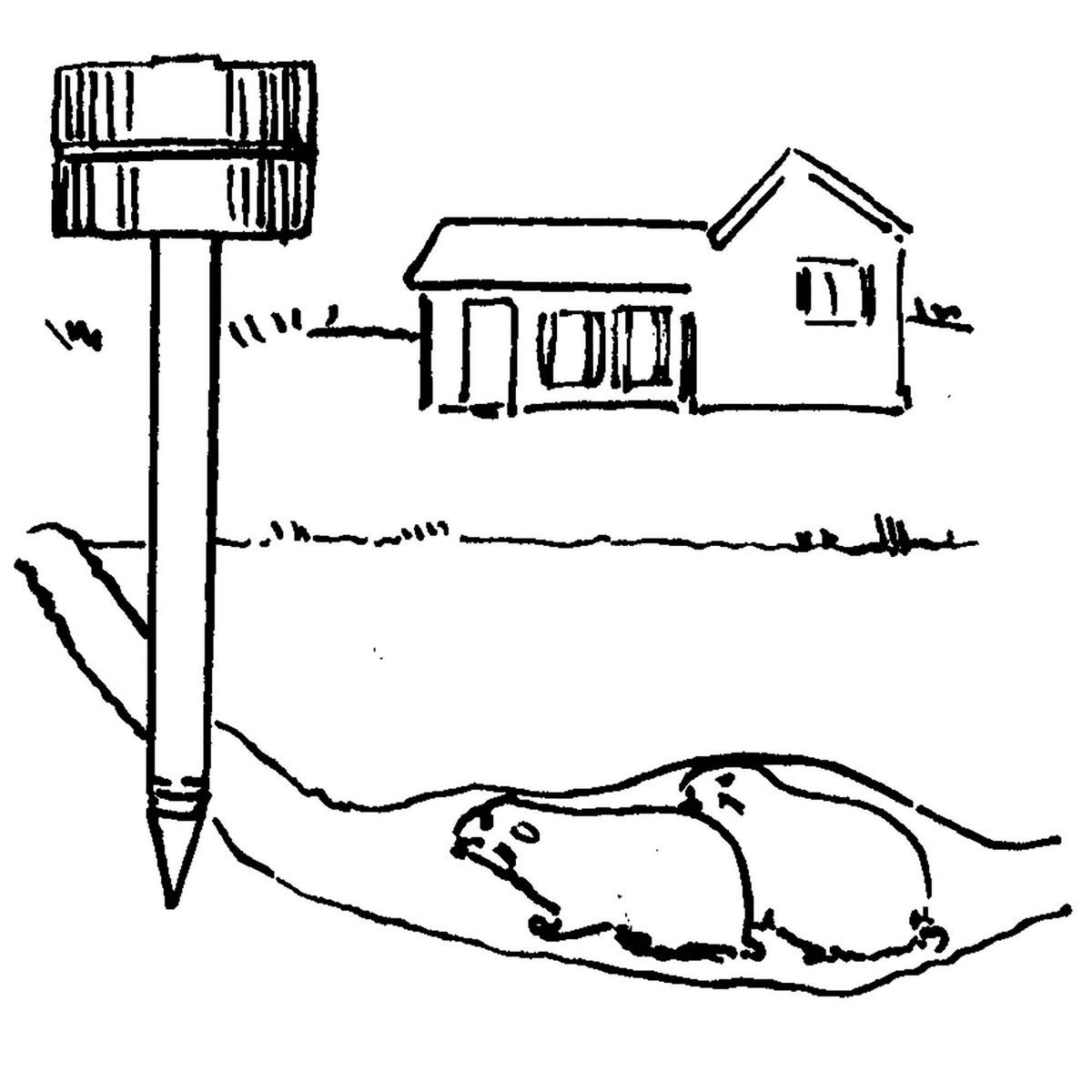 Windhager Chasse taupes à ultrasons