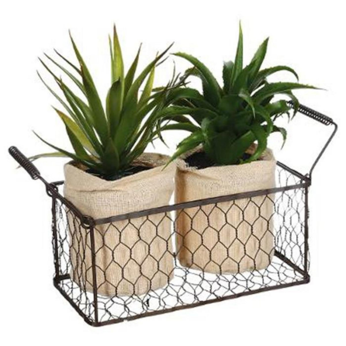 ATMOSPHERA Lot de 2 Aloe Vera & Panier  Well  23cm Vert