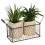 Voir la diapositive 1 : ATMOSPHERA Lot de 2 Aloe Vera & Panier  Well  23cm Vert