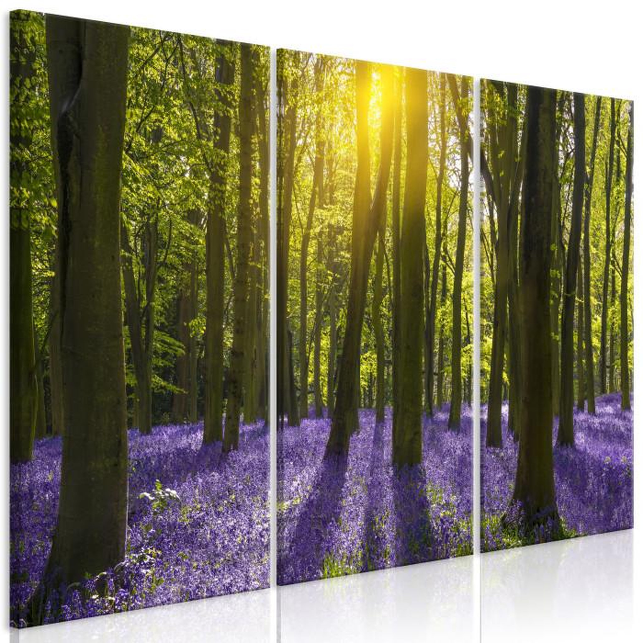 Paris Prix Tableau Imprimé 3 Panneaux  Hyacinth Field. Coloris disponibles : Multicolore