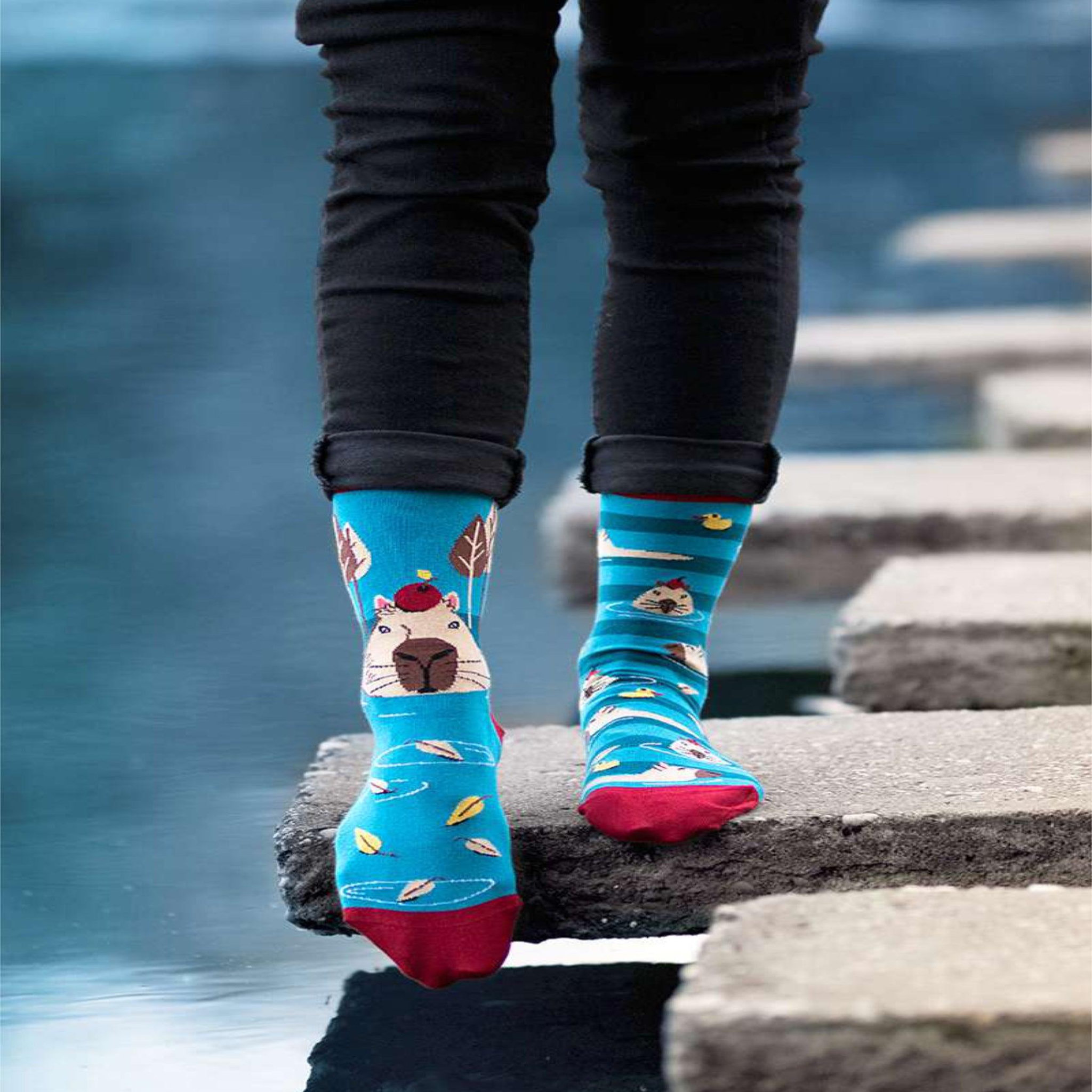 Voir la diapositive 4 : PIRIN HILL Chaussettes arty georges le capybara - turquoise