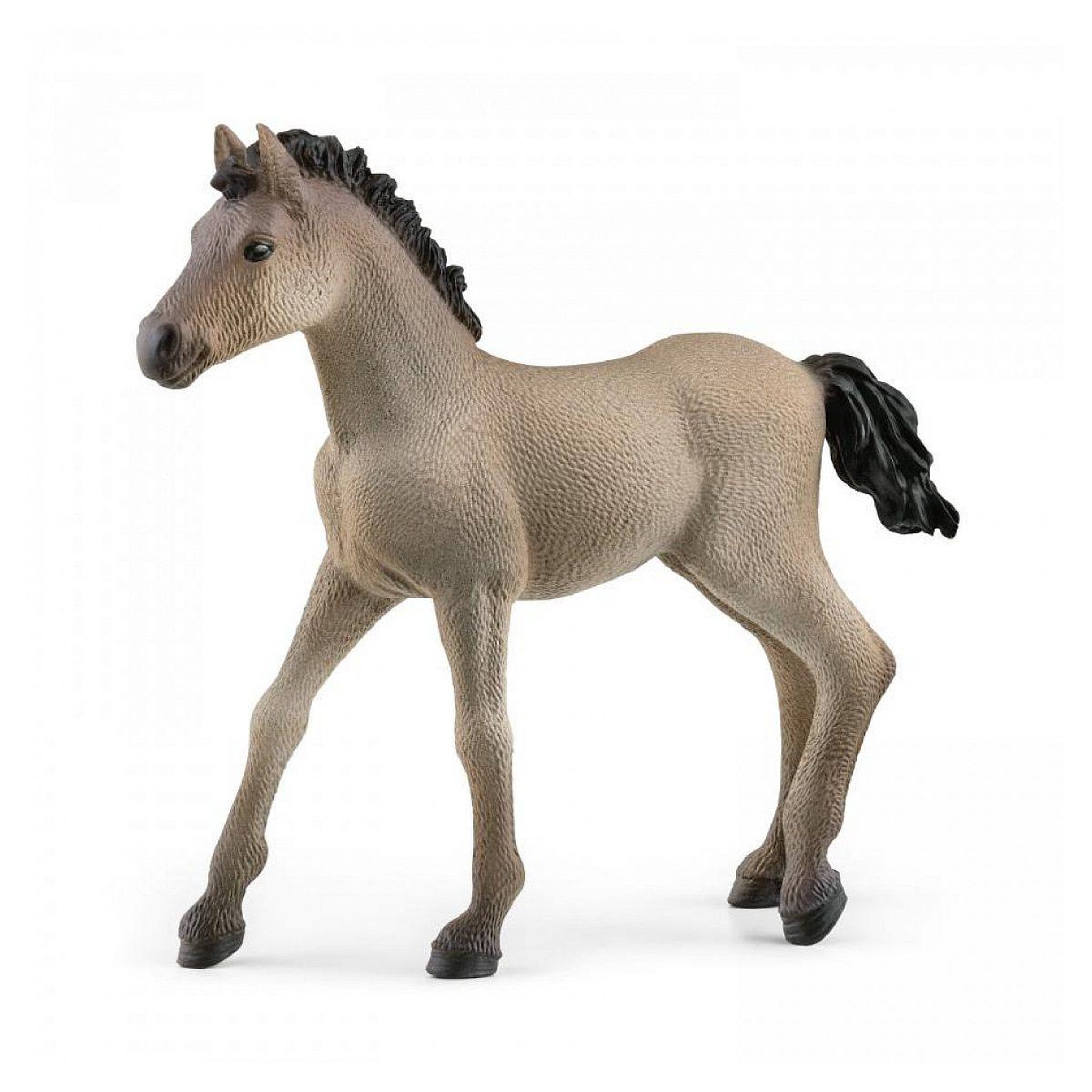 Schleich Figurine animale 13949 poulain criollo definitivo