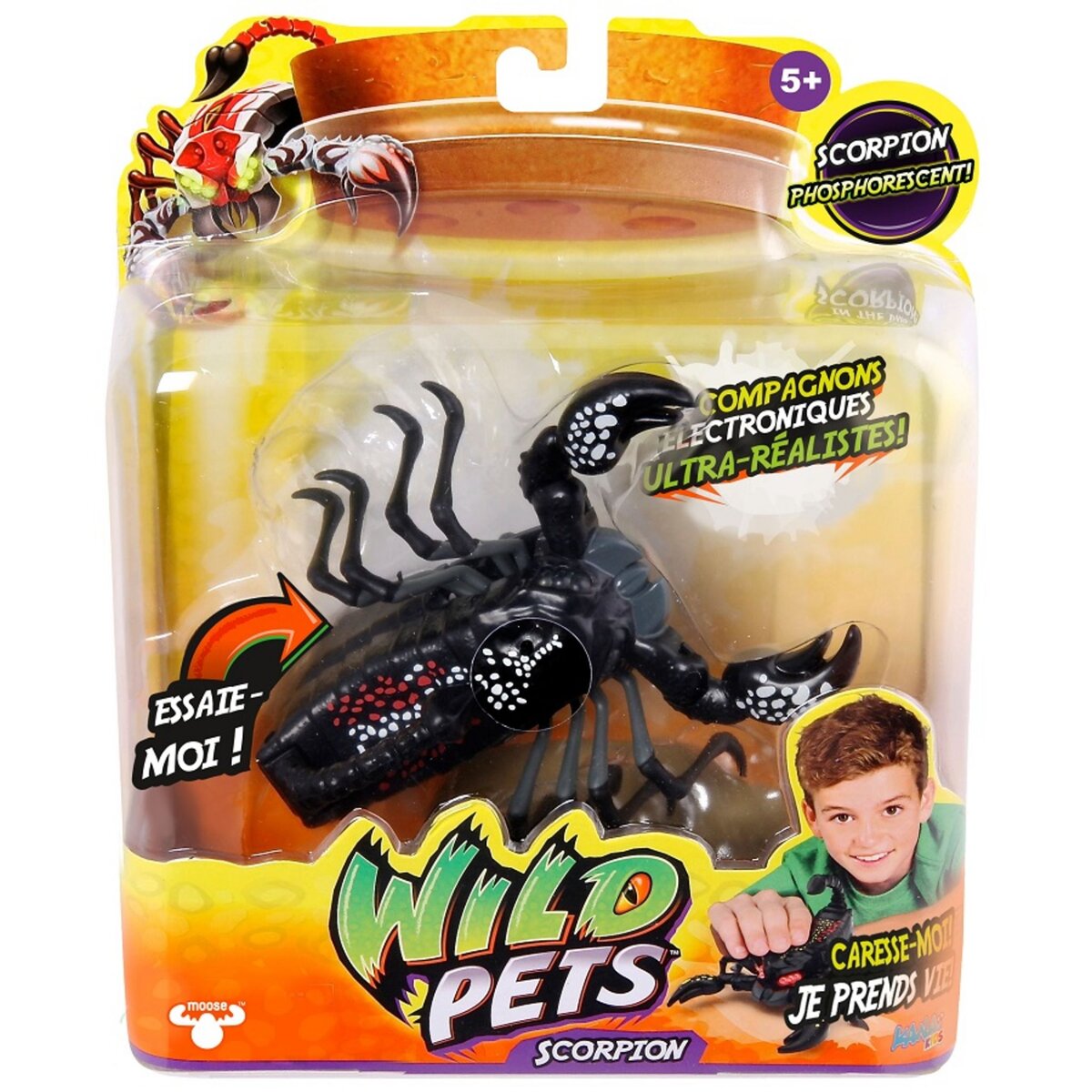 Wild pets scorpion interactif noir