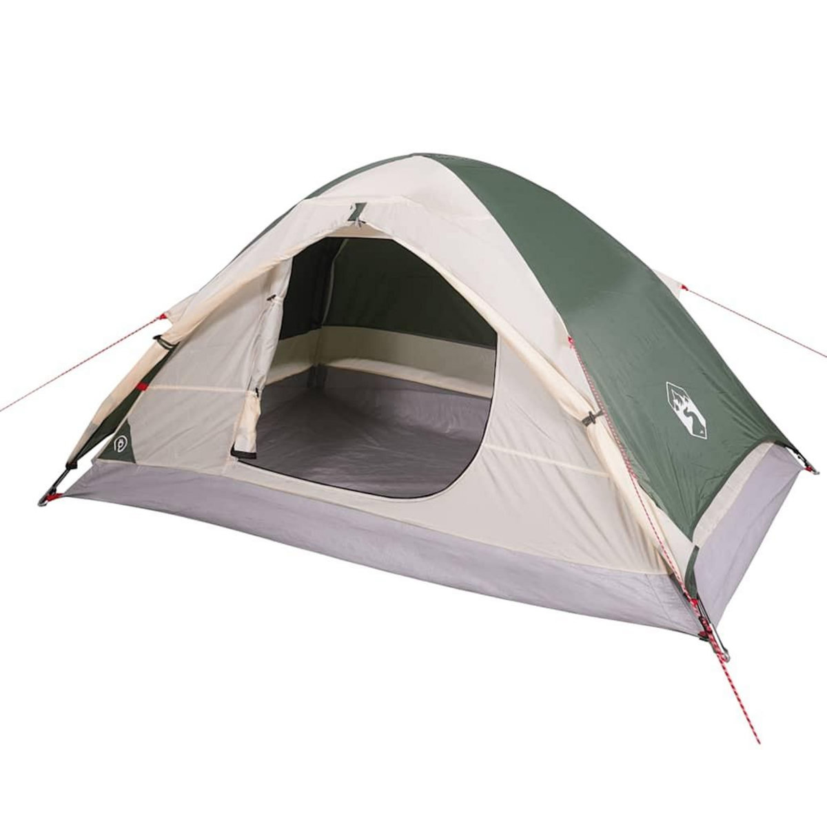 VIDAXL Tente de camping a dome 2 personne vert impermeable