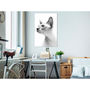 Voir la diapositive 2 : Paris Prix Tableau Imprimé  Hairless Cat