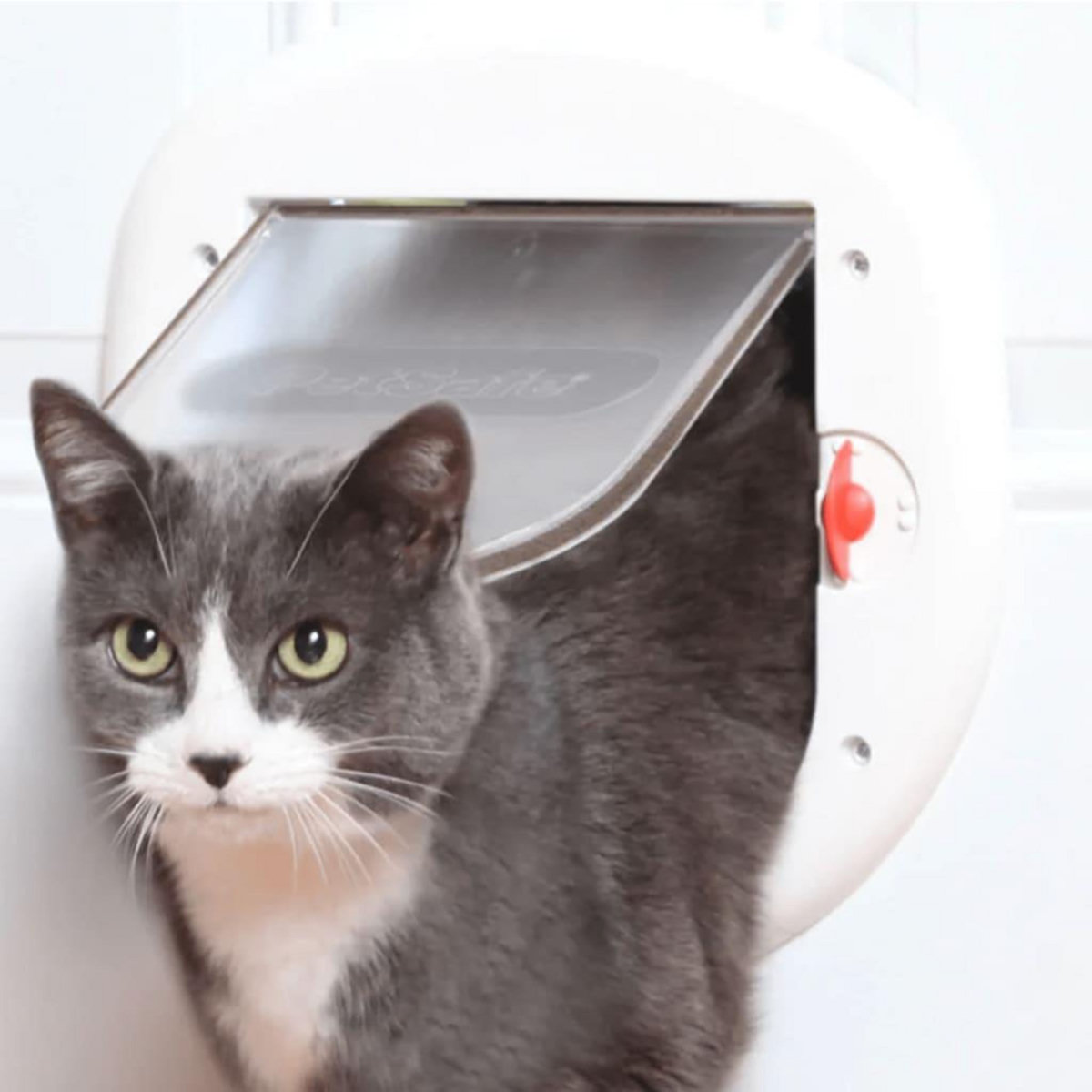 PETSAFE PetSafe Volet a 4 voies pour animaux de compagnie 280 Blanc