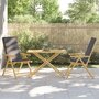 Voir la diapositive 3 : VIDAXL Table de jardin pliable 110x55x75 cm bambou