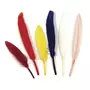 Rayher Plumes indiennes, assorties, 10,5 cm, 24 pces
