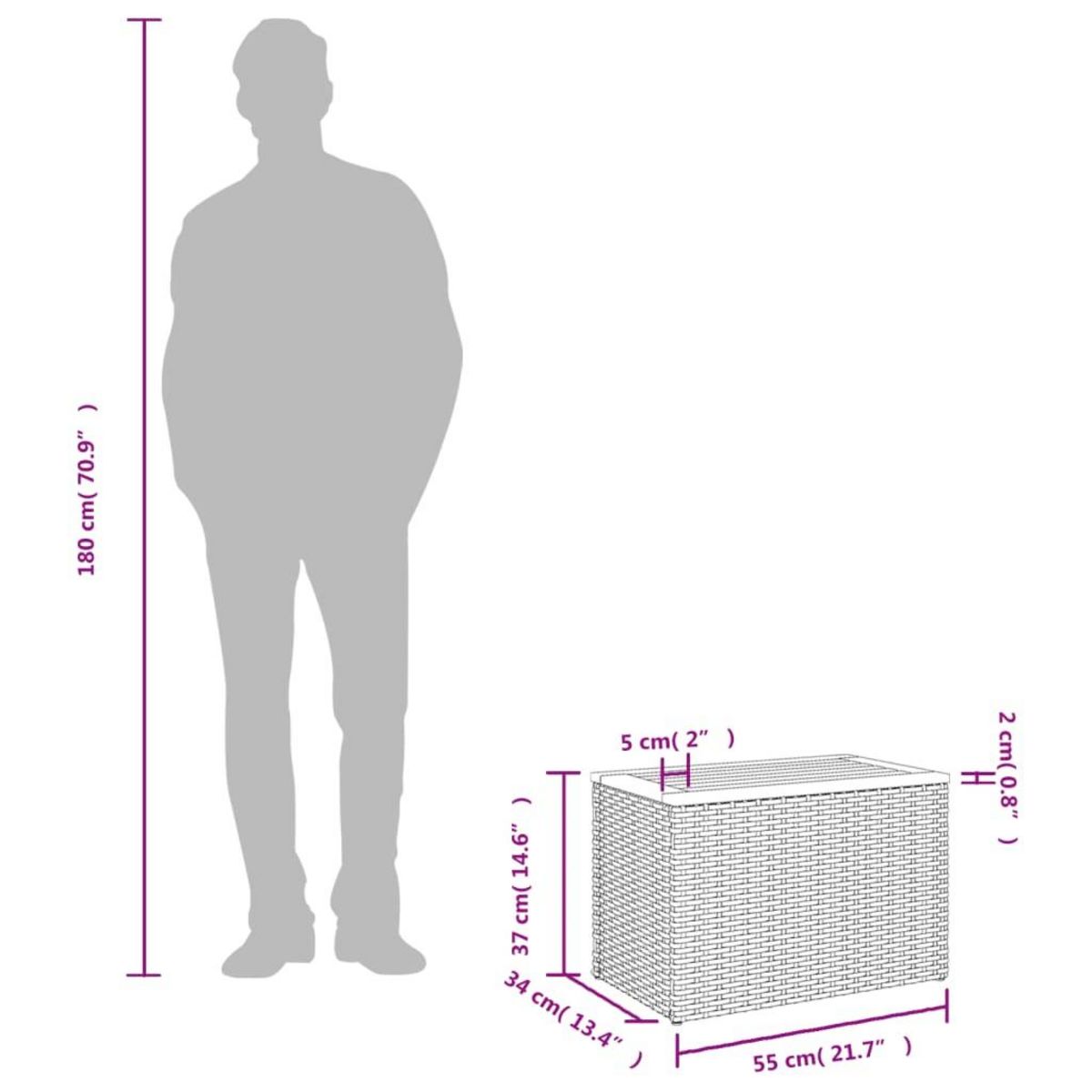 VIDAXL Tables d'appoint jardin 2pcs noir 55x34x37 cm rotin bois massif