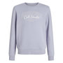 Voir la diapositive 1 : Jack & Jones Sweat Mauve Garçon Jack & Jones Makoto