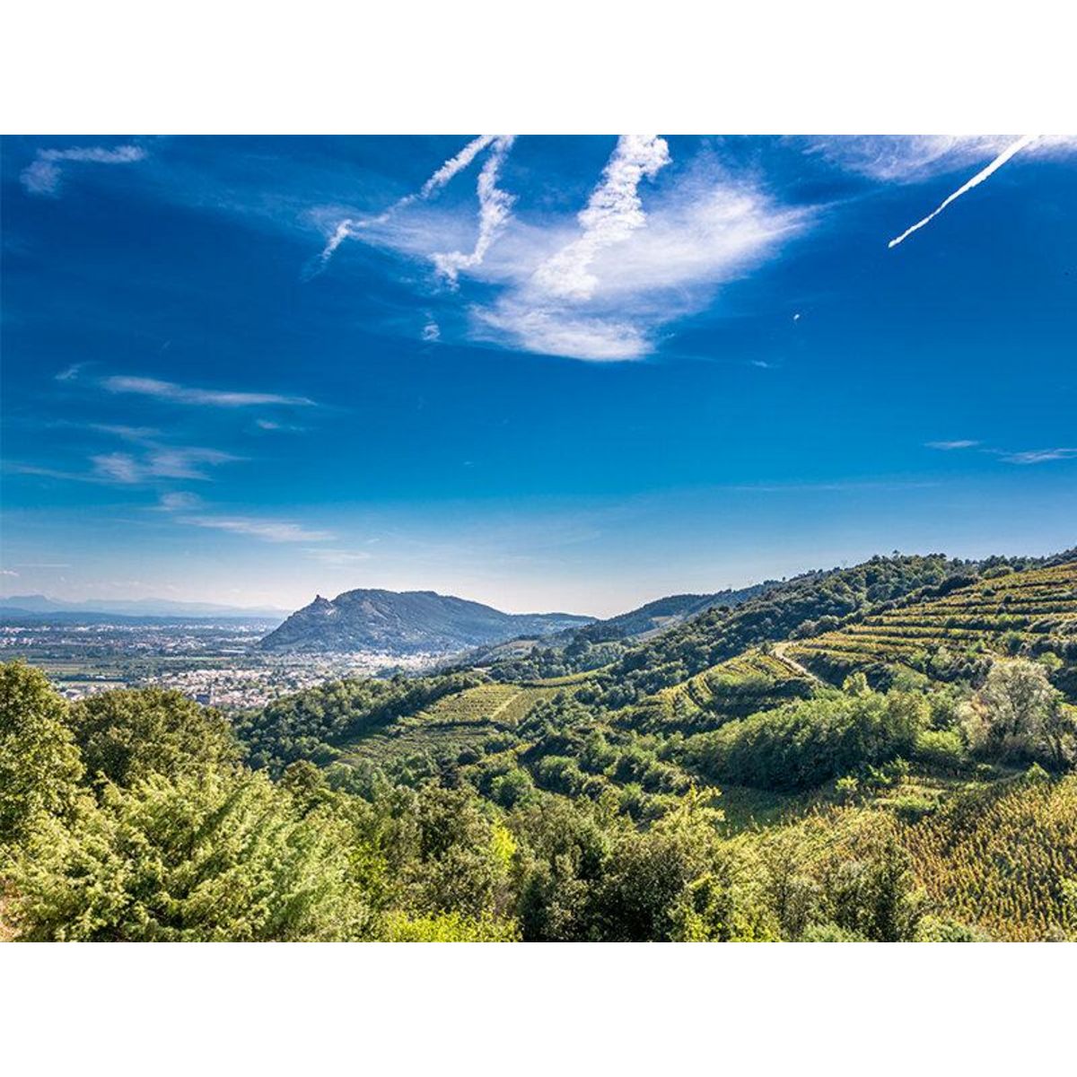 Smartbox Session de Cani-Kart d'1h en famille près de Valence - Coffret Cadeau Sport & Aventure