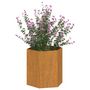 Voir la diapositive 3 : VIDAXL Jardiniere Rouille 40x40x45 cm Acier corten