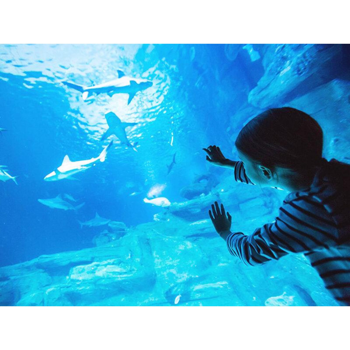 Smartbox Coffret Cadeau de Noël : 1 activité pour 3 à 5 personnes - Coffret Cadeau Multi-thèmes