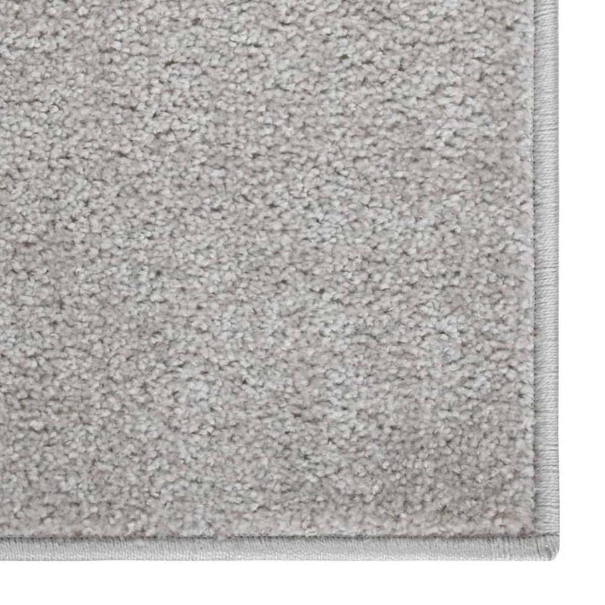 VIDAXL Tapis a poils courts 140x200 cm Gris clair