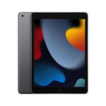APPLE Apple iPad 256 Go 25,9 cm (10.2 ) 3 Go Wi-Fi 5 (802.11ac) iPadOS 15 Gris