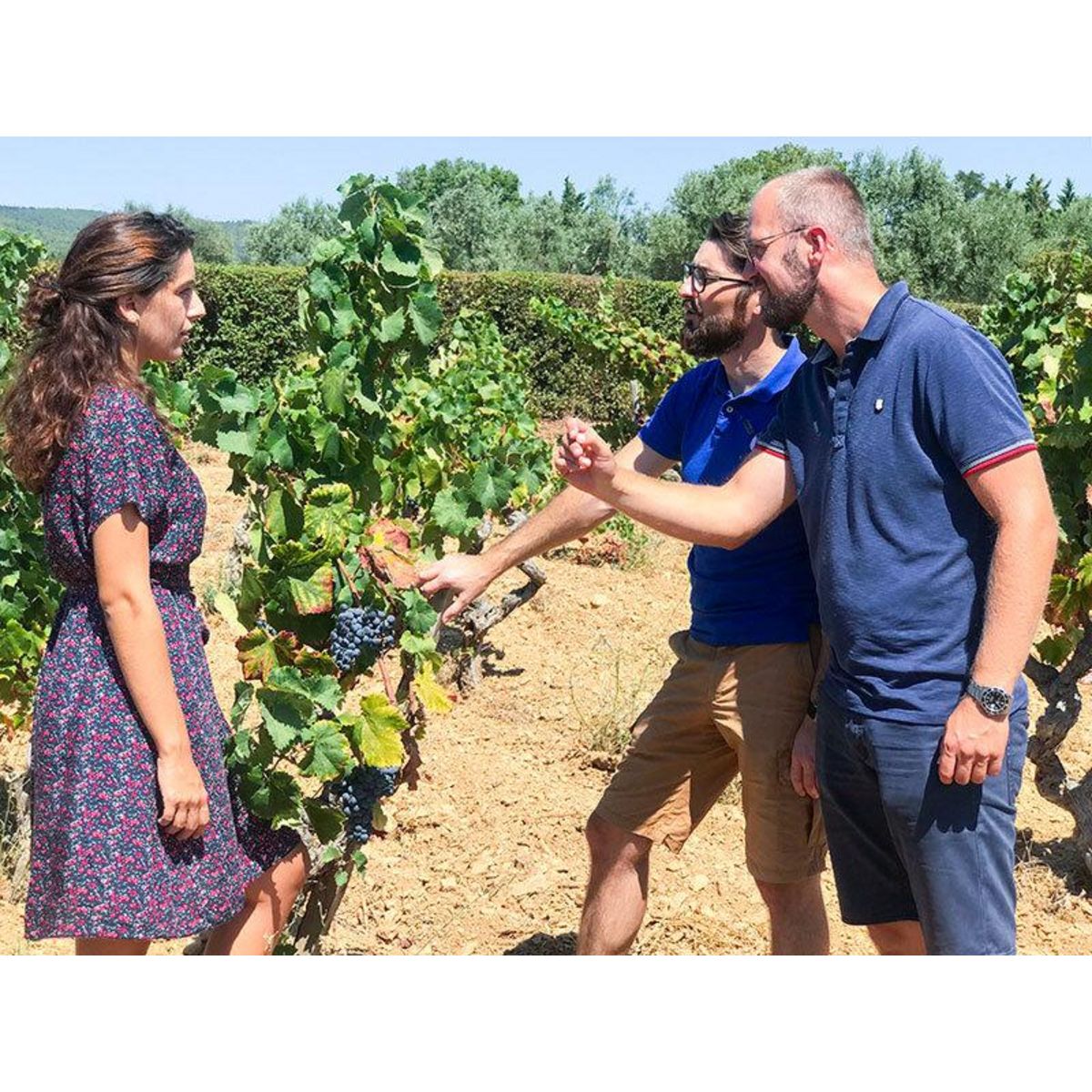 Smartbox Balade œnologique sur 3 communes classées AOC Bandol et dégustation de vins - Coffret Cadeau Sport & Aventure