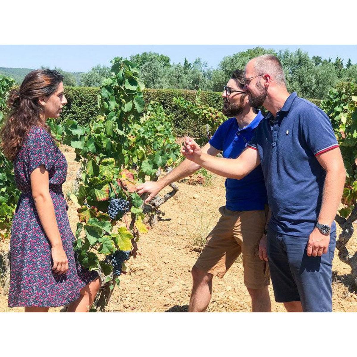 Smartbox Balade œnologique sur 3 communes classées AOC Bandol et dégustation de vins - Coffret Cadeau Sport & Aventure