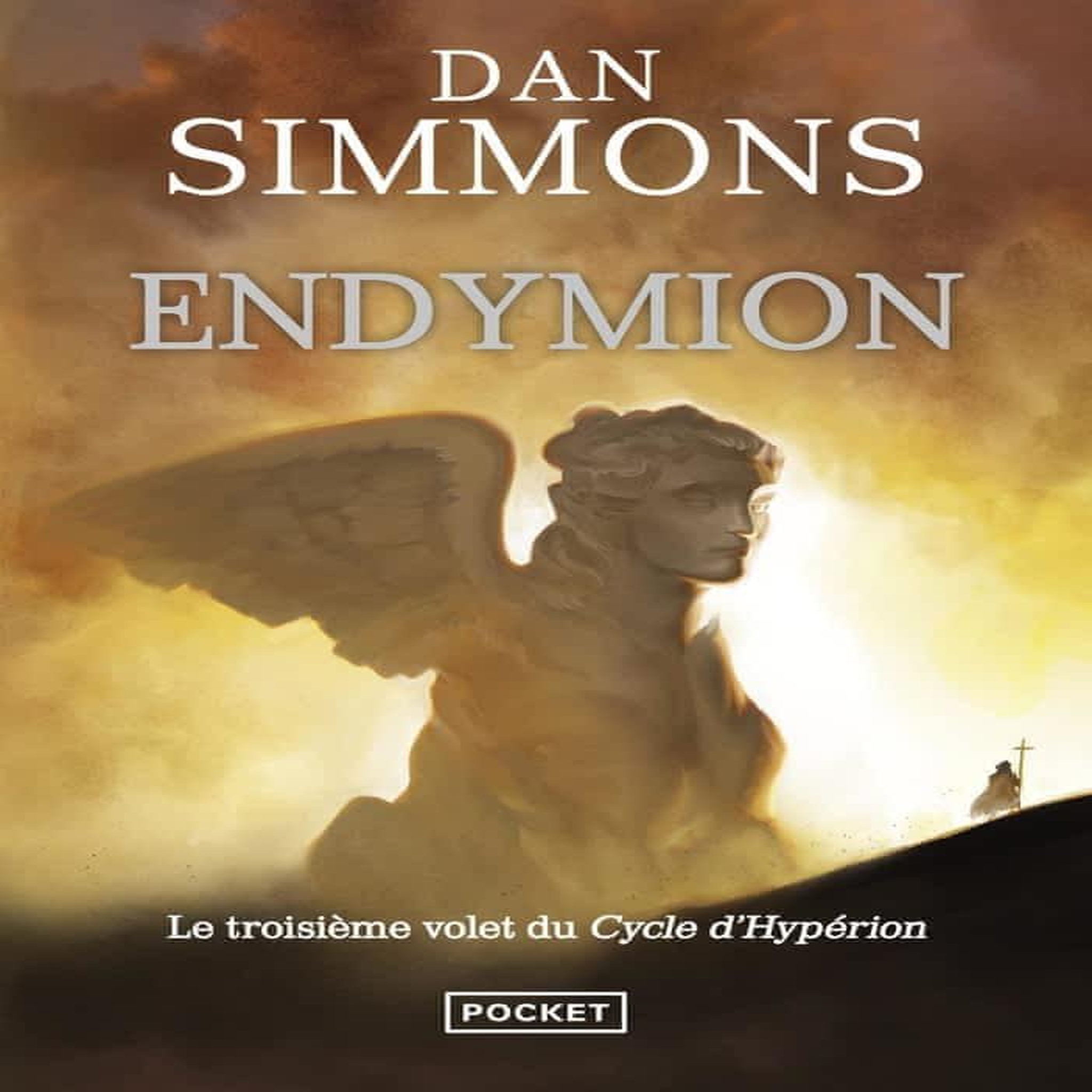 LES VOYAGES D'ENDYMION : ENDYMION TOME 1 ET 2, Simmons Dan