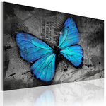Paris Prix Tableau Imprimé  Etude D'un Papillon. Coloris disponibles : Multicolore