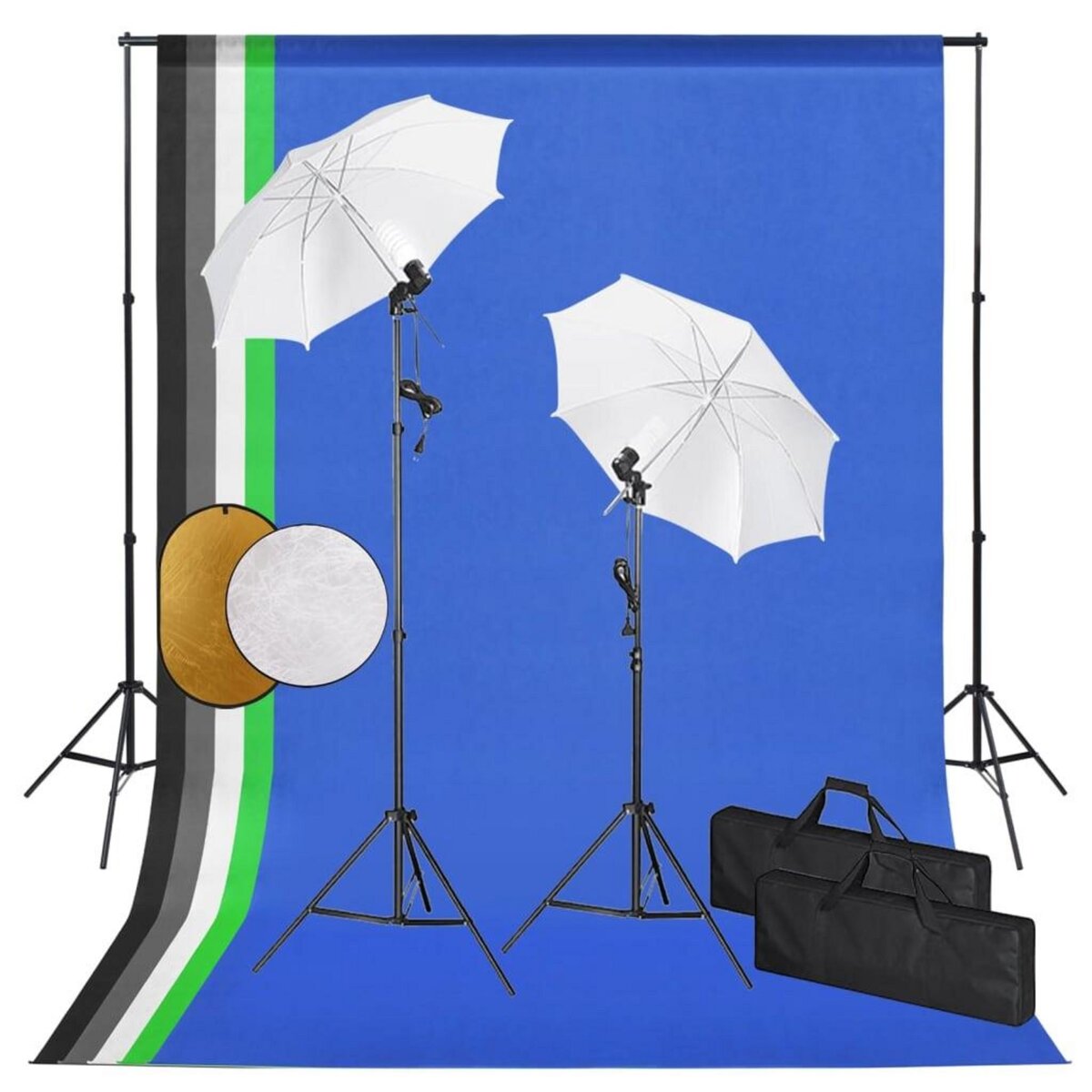 VIDAXL Kit de studio photo avec lampes toile de fond et reflecteur